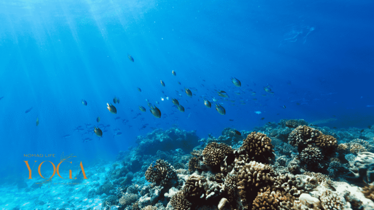 Manifest – Stilte en Koraal